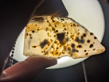 Natural Montana Agate Dendritic Crystal Slab