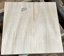 ONE HUGE KILN DRIED MAPLE PLATTER BLANK TURNING LUMBER LATHE WOOD 20" X 20" X 2"