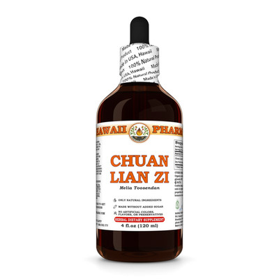 Chuan Lian Zi / Toosendan (Melia Toosendan) Dried Fruit Liquid Herbal Extract