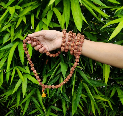 CUENTAS REALES RUDRAKSHA MALA (54+1)/ROSARIO/ENORMES 5 MUKHI RUDRAKSH MALA 14MM EE. UU. - Imagen 5 de 6