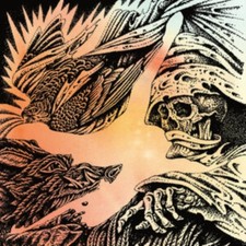 Focus (yellow/black Vinyl)