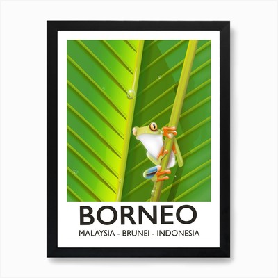 Borneo Malaysia Brunei Baumfrosch tr gerahmtes Wandbild Poster Leinwanddruck Bild