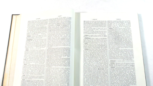 Dictionary Of The Bible (HC, 1924, India Paper Edition) Hastings GD- - Picture 10 of 13
