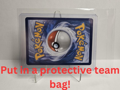 Pokemon TCG Palafin SVP036 Black Star Promo Obsidian Flames Pre Release - Picture 4 of 5