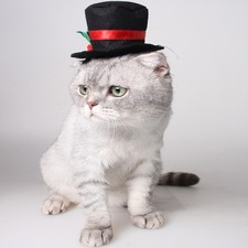 Pet Dog Cat Hat Cosplay Costume Hat Christmas Halloween Cosplays Accessories