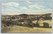 Newport New Hampshire Birds Eye View Town Panorama Divided Back Postcard