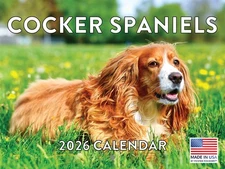 Cocker Spaniel Calendar 2026 Monthly Wall Calender 12 Month | American Made In T