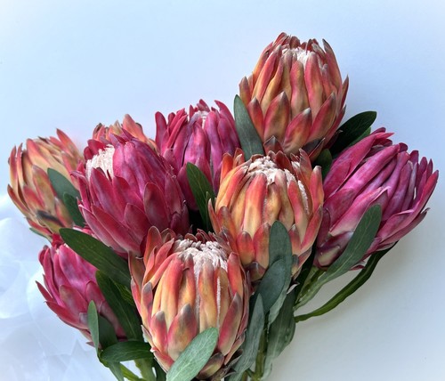 Protea Stems Australian Native Flower Stem Queen Proteas Orange Pink Faux Silk - Picture 2 of 8