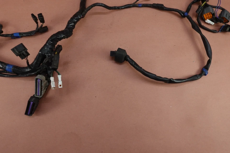 2013 07-17 TRIUMPH ROCKET III TOURING Chicote de Fiação de Fio Principal - Imagem 4 de 4