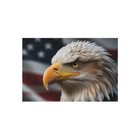 eagle Outdoor Rug