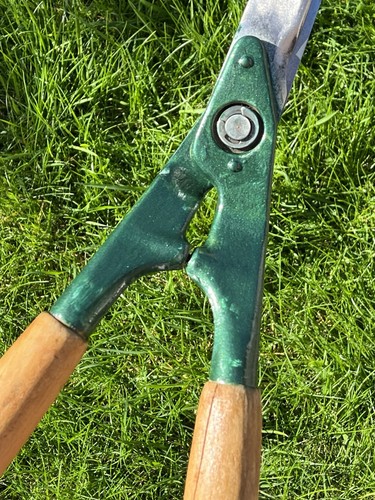 Vintage Garden Shears With Wooden Handles Gardening Trimming Cutting - Picture 7 of 15