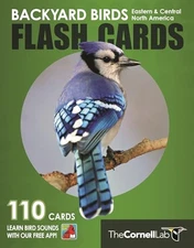Backyard Birds Flash Cards - Eastern  Central North America (Cornell Lab - GOOD