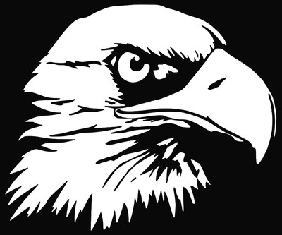 Bald Eagle Head - Bird USA Car Laptop Bumper Window Vinyl Decal Sticker 01345 - Foto 4