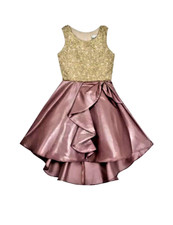 Rare Editions Girl Embroidered Pageant Dress With Lame Mikado Skirt Size 16