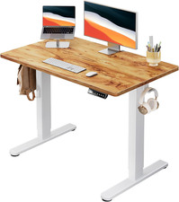 Electric Standing Desk, 40" X 24" Whole Piece Desktop, Adjustable Height Compute