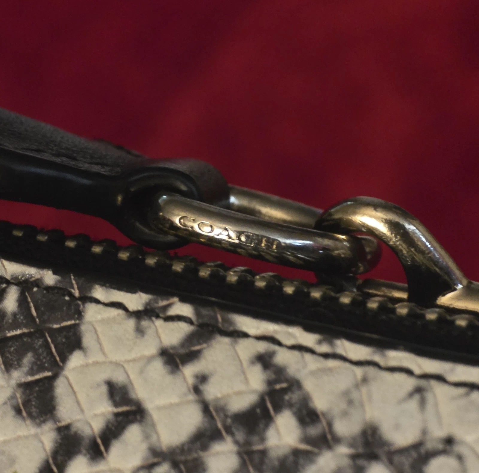 Borsa Coach Nolita 19 da polso bianco e nero oro chiaro stampa pelle di serpente Demi usata in ottime condizioni