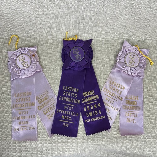 Antique 1950s Cattle Livestock Award Ribbons West Springfield MA Purple Rosettes