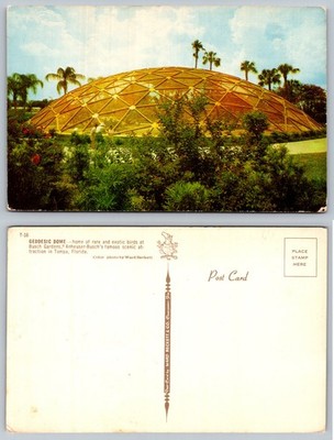 Geodesic Dome Tampa Florida Postcard