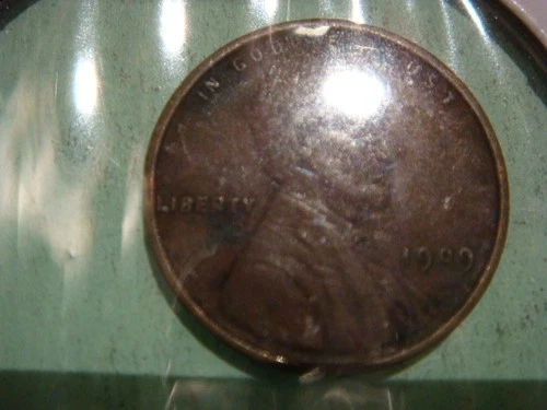 1909 Wheat Cent Lincoln Penny in Good+ album filling condition - good wheat ears