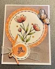 4 Stampin Up Spotlight on Nature for you Butterfly Circle Card Kit Any Occasion