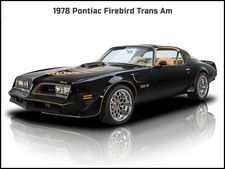 1978 Pontiac Firebird Trans Am New Metal Sign Large Size 12 X 16 - Primo 1978 Pontiac Firebird Trans Am New Metal Sign Large Size 12 X 16 - Primo