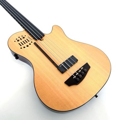 Rare Godin A4 Ultra Fretless E | eBay