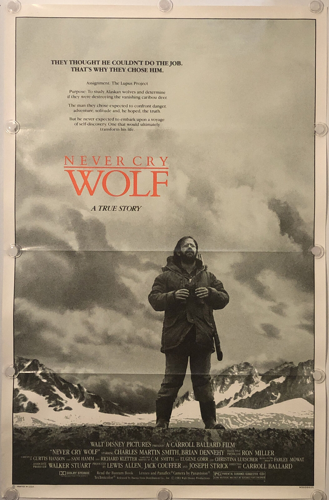 NEVER CRY WOLF Outlet sale feature Original One Sheet Movie Omaha Mall Folded 1983 Poster W -
