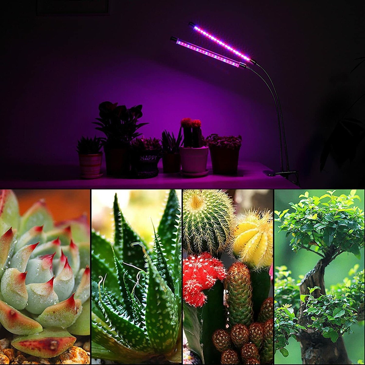 LED Plant Lights for Indoor Plants, 20W Dual Head LED Grow Lights