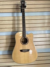 Washburn Electric Acoustic W/ Case, 6 String Guitar , Natural Fishman Eq