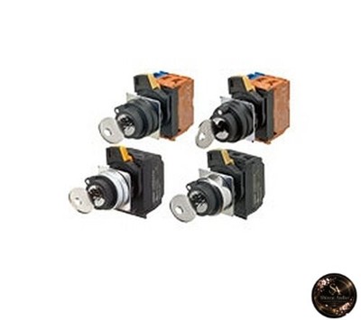 Omron A22NK-2BL-01BA-P102 Schlüsselwahlschalter