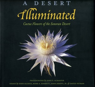 A Desert Illuminated: Cactus Flowers of the Sonoran Desert