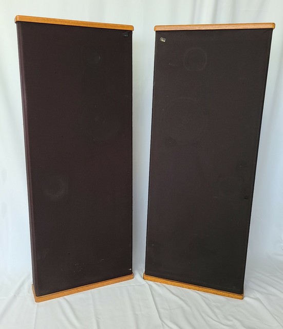 dcm timeframe speakers