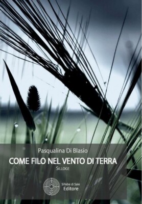 Libro Come filo nel Vento di terra - Pasqualina Di Blasio