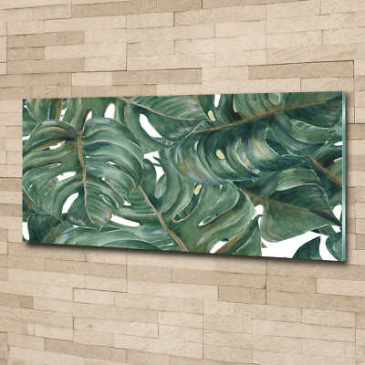 Wandbild aus Plexiglas Druck auf Acryl 125x50 Blumen & Pflanzen Monstera |  eBay.de
