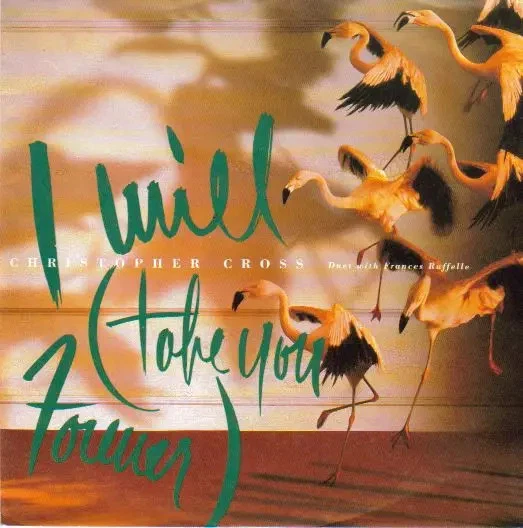 Christopher Cross I Will (Take You Forever) Vinyl Single 7inch NEAR MINT - Bild 1 von 1