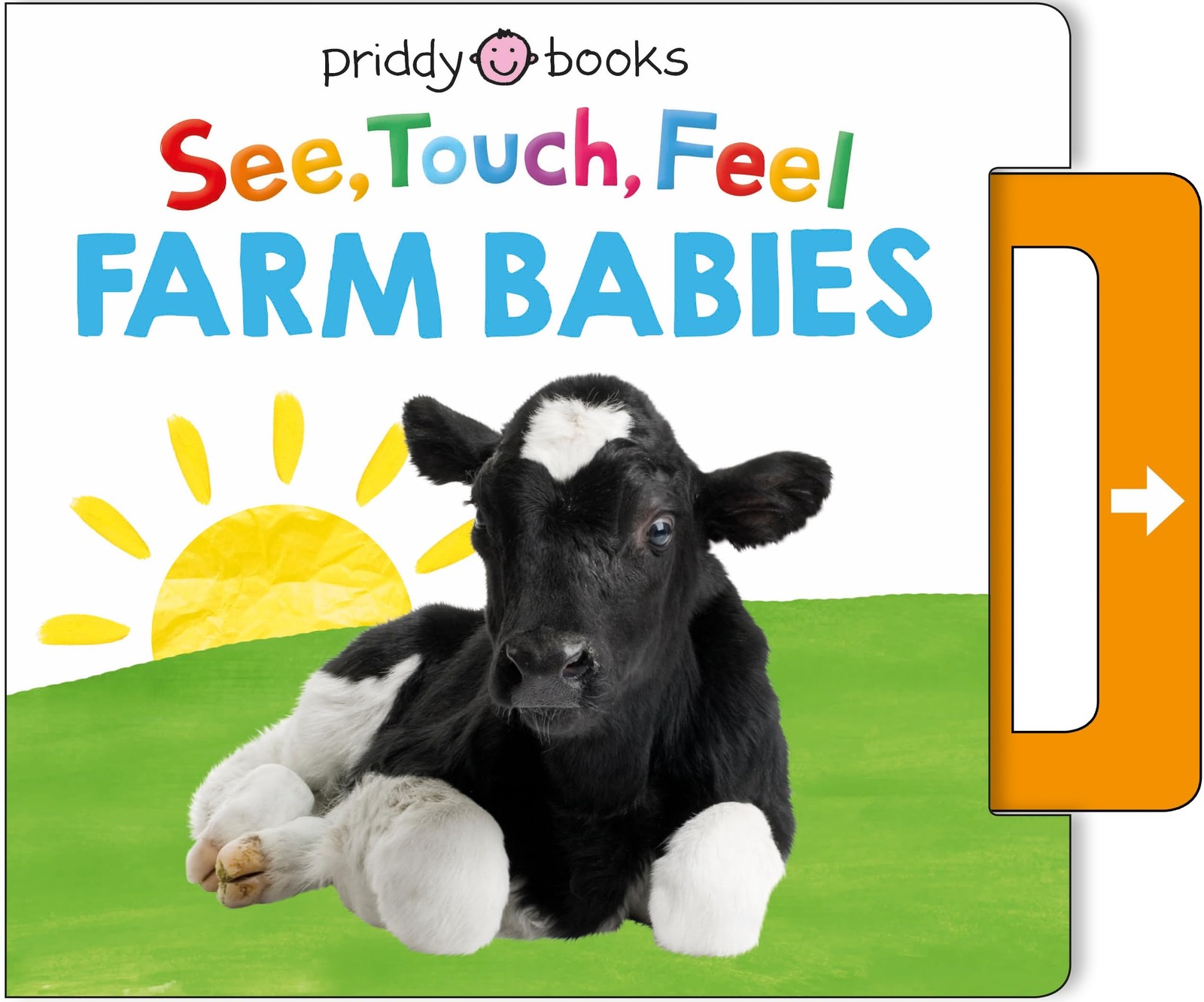 See, Touch, Feel See, Touch, Feel Priddy Books Juvenile Fiction Board Book