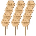 20 Pcs Garden Markers for Plants Nursery Labels Flower Wood Signs