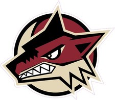 (NOT A PATCH) Arizona Coyotes Hockey HTV Heat Transfer Vinyl Iron On