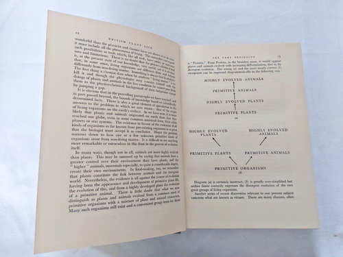 British Plant Life by W B Turrill - First edition Hardback 1948 - Imagen 4 de 7
