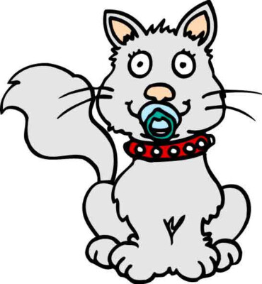 Sticker autocollant vinyle 10 x 15 cm Peroquet animal humoristique