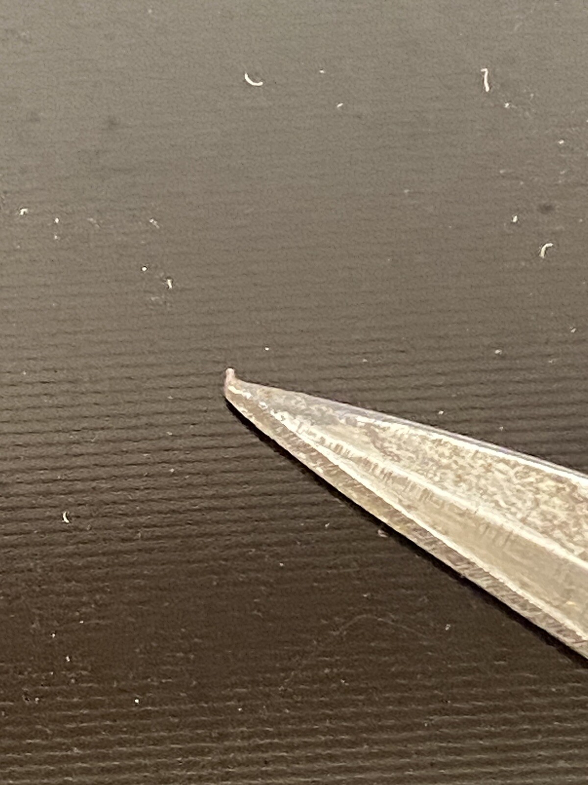 Picture 15 of 24