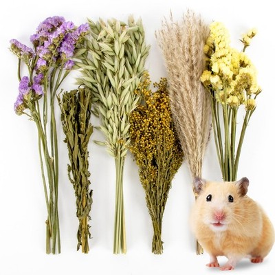 Sukh 42Pcs Herb Bedding Habitat Decor - Natural Flower Hamster Mate Herbs... 