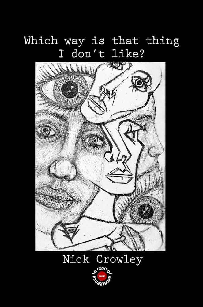 Ник Кроули: Что это за книга, которая мне не нравится? (В мягкой обложке) (ИМПОРТ ИЗ Великобритании)