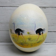 Vintage Hand Painted Natural Ostrich Egg Shel...