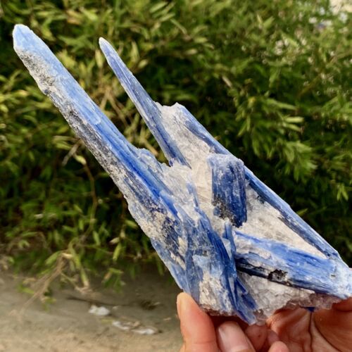 371G Rare!! Natural beautiful Blue KYANITE with Quartz Crystal Specimen Rough - Picture 14 of 20