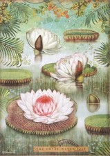 Carta di Riso per Decoupage