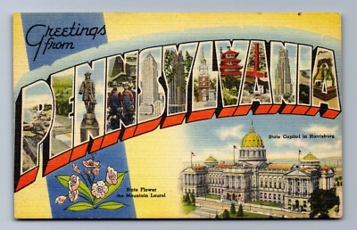C.1940 LARGE BIG LETTERS Greetings From PENNSYLVANIA Mountain Laurel Postcard P0