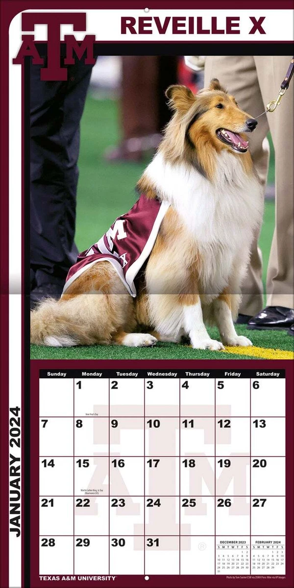 TEXAS A&M - 2024 WALL CALENDAR - BRAND NEW - 11820 | eBay