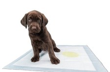 300 17x24" 4-Ply Economy Plus Puppy PooPee Pads Extra Heavy Extra Absorbent