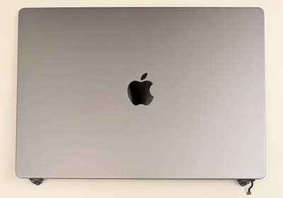 Original Apple Macbook Pro 16'' LCD Screen A2485 EMC 3651 SCREEN Space Grau 2021